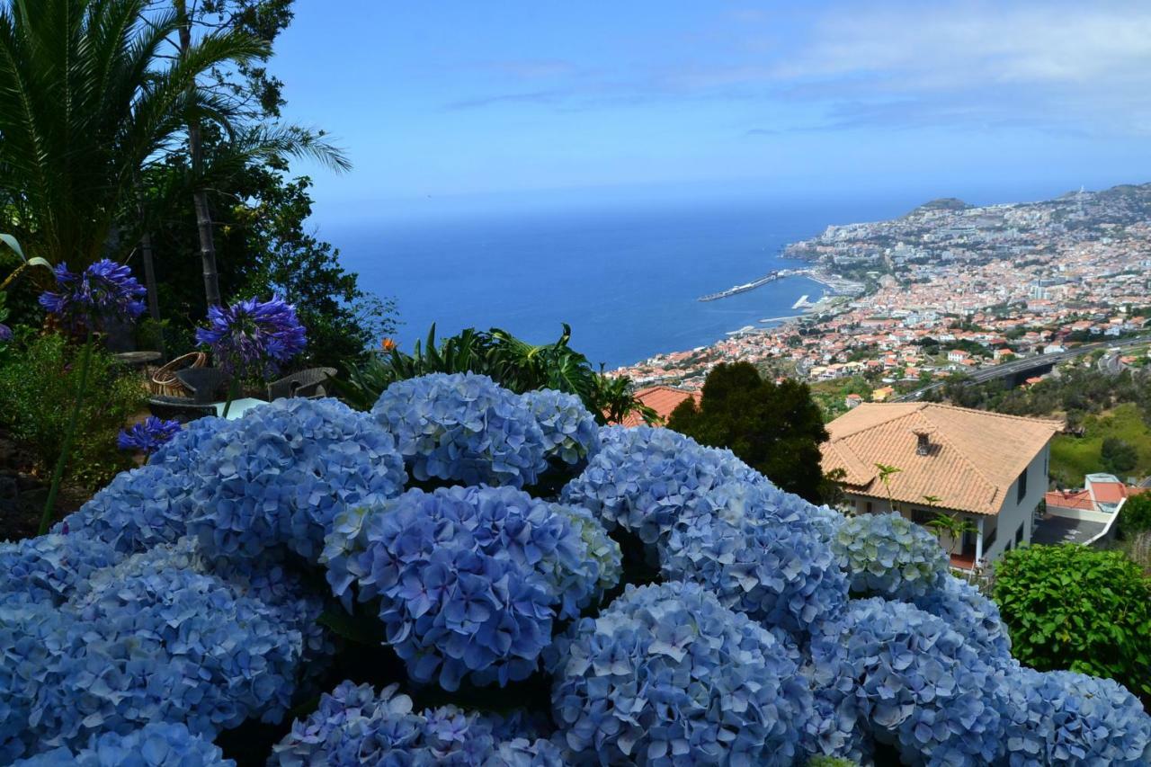 Holiday House 4 You Funchal (Madeira) Exterior foto